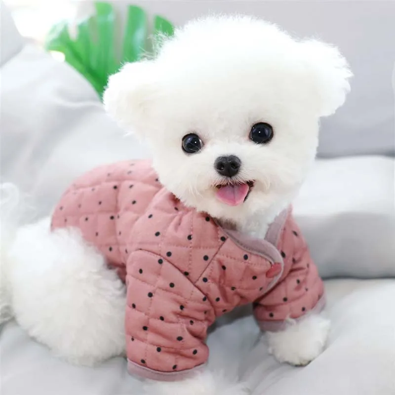 Осенне зимние аксессуары для домашних животных шнауцер Бишон Померанский