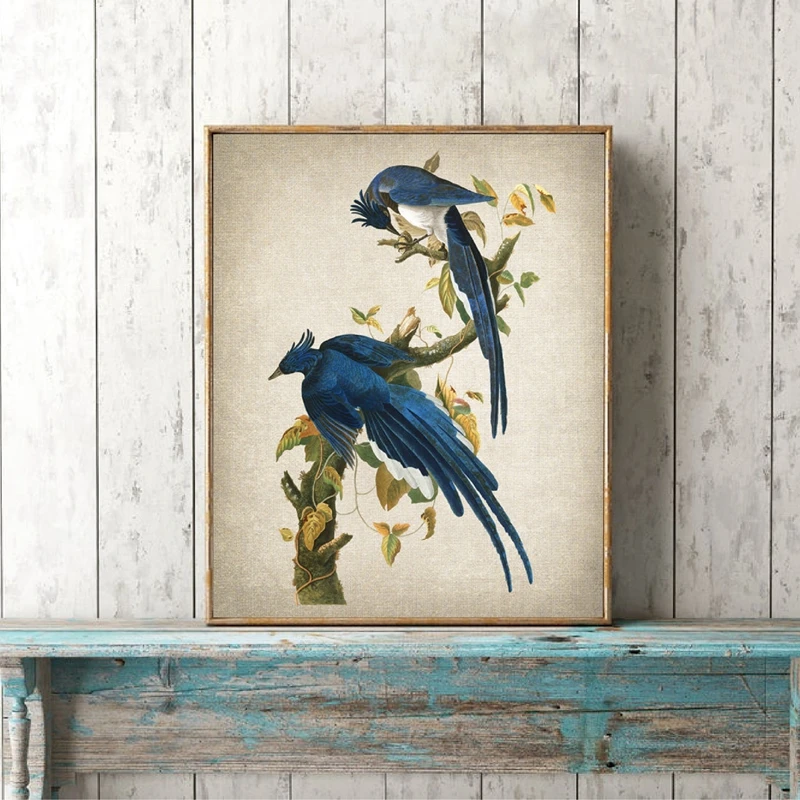 Art Prints Columbia Vintage Bird Illustration Poster Canvas Painting Blue Pictures for Living Home Room Decor Wall | Дом и сад