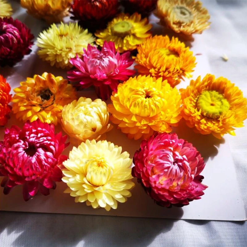 

1 Box Aromatherapy Floating Flowers Crystal Epoxy Filler Dried Flowers Heads Mixed Nail Stickers Decorations Resin Filling