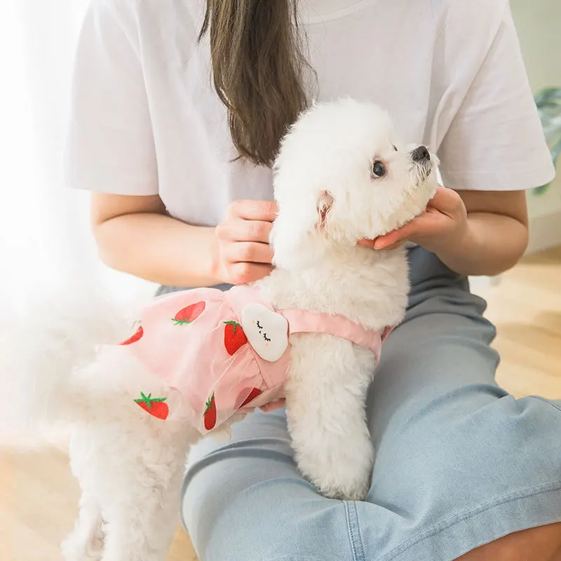 Новинка 2021 трехмерная сетчатая газовая юбка в виде облака и клубники одежда для