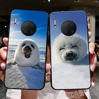 yndfcnb baby harp seal sea lion phone case for huawei mate 20 10 9 40 30 lite pro x nova 2 3i 7se