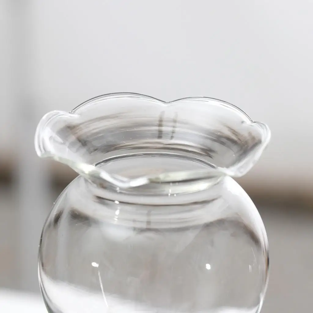 2 шт. самополивающийся шар для растений лампочка воды ручной работы прозрачный