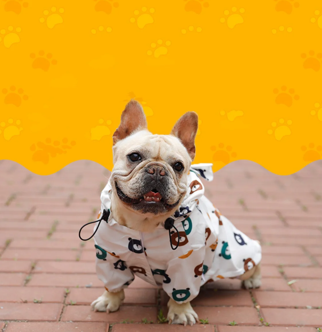 

New Dog Hoodies Pet Clothes for Small Dogs Puppy Coat Jackets Sweatshirt for Chihuahua Doggie Cat Costume Cotton