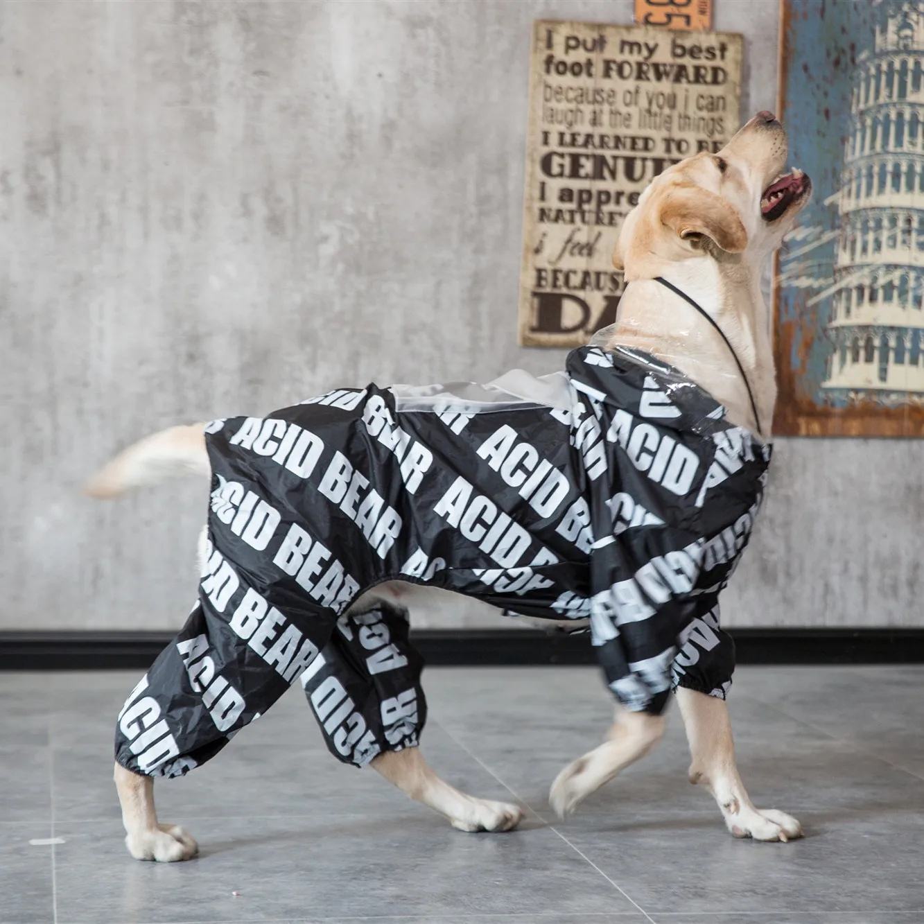 Дождевик для собак водонепроницаемый Модный стильный дождевик из полиэстера