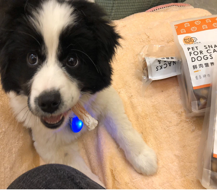 Еда для собак ручной работы сушеные на воздухе кроличьи ушки маленькие собачьи