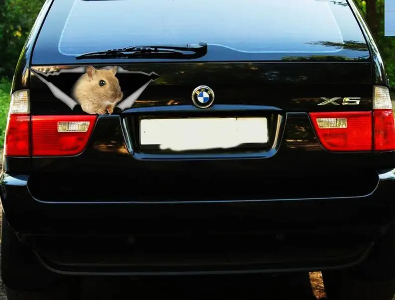 

2021 Mouse decal, car decal, Vinyl decal, car decoration, animal decal, pet decal, 3D decal