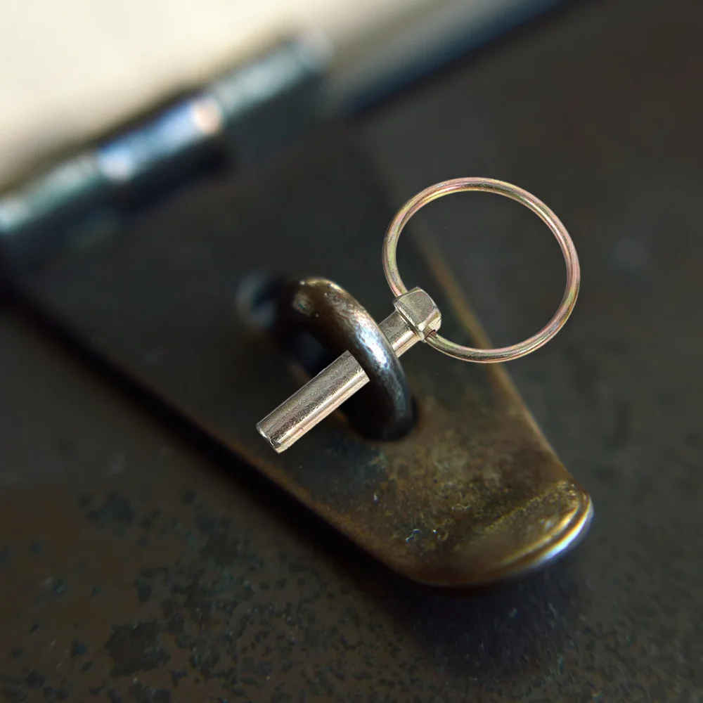 

15pcs Lynch Retaining Pin with Ring Heavy Duty Lynch Pin for Farm Tractors