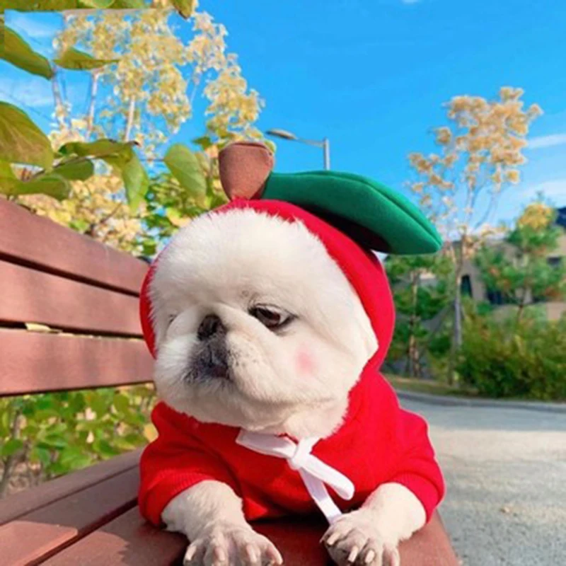 New Carrot Pet Sweater Teddy Clothes Puppy Cute Pullover Fashion Dog Supplies | Hoodies