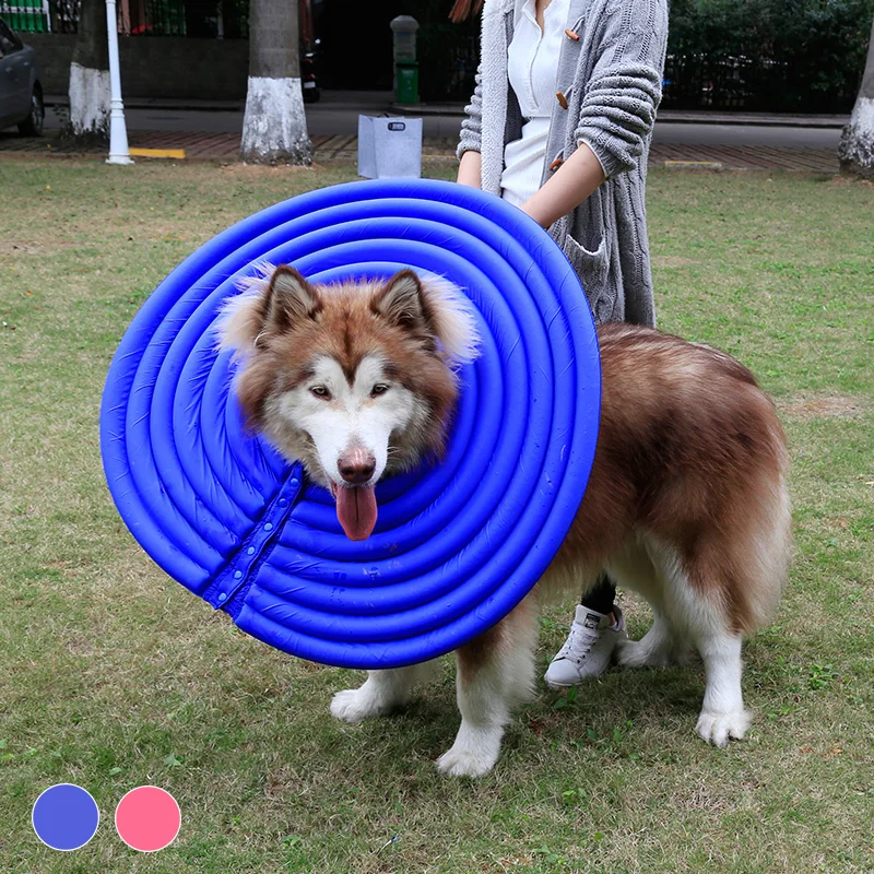 Hoopet Pet Dog Elizabeth круг воротник защитный ошейник для собак фиксированные товары