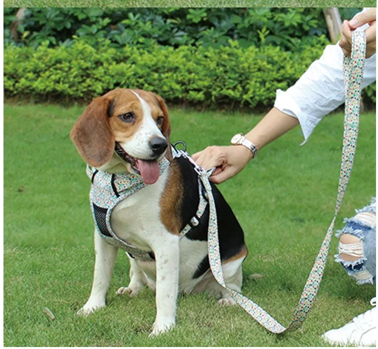 

Pet supplies dog leash set pet leash dog leash chest harness vest