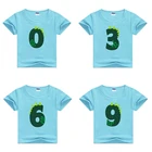 Одежда сделай сам футболки с короткими рукавами для мальчиков и девочек, футболка с мультяшным номером Burthdays детские топы с рисунком для маленьких девочек, синяя футболка, От 2 до 12 лет