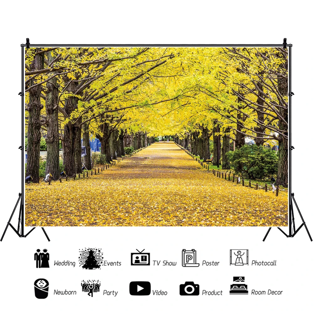 Laeacco осенний лес природа фоны осенние листья парк путь кленовый лист живописный