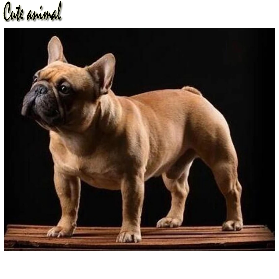 

5D квадратная круглая алмазная живопись «сделай сам», вышивка крестиком, картина в виде французского бульдога, Алмазная мозаика, картины