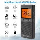 Радиоприемник AmFm, портативный, аварийный, карманный, с предупреждением о погоде