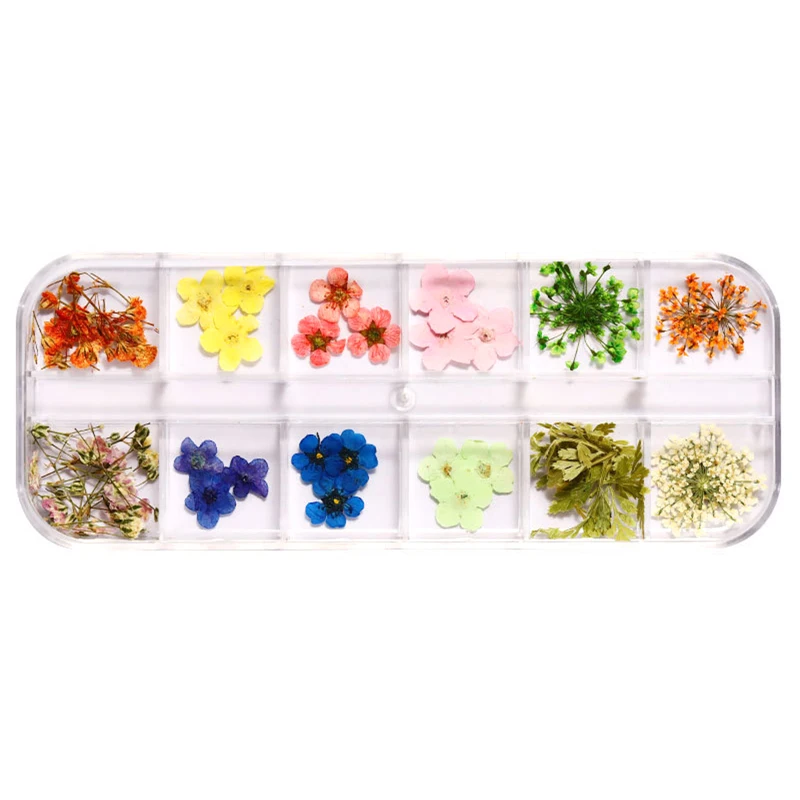

1 Box Of Nail Art Mixed Dried Flowers For Nail Decoration Natural Flower And Leaf Crafts 3D Nail Decoration Nail Accessories