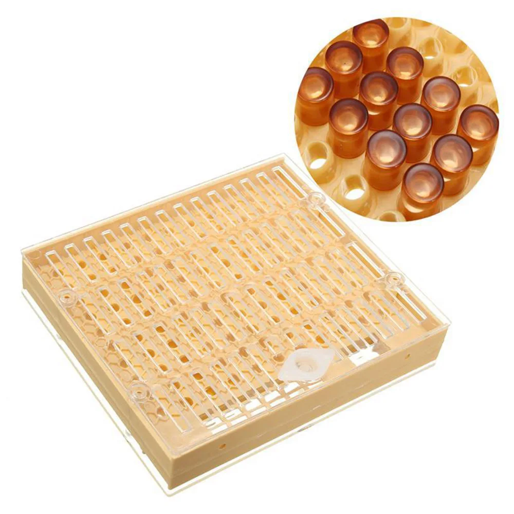 Лидер продаж инструменты для пчеловодства набор оборудования королева