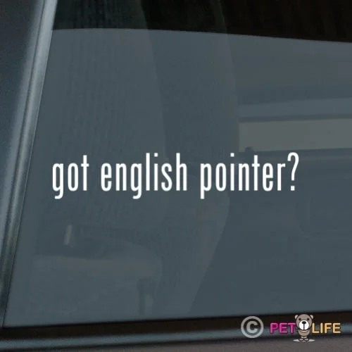 

Got English Pointer Sticker Die Cut Vinyl - #2 window decal