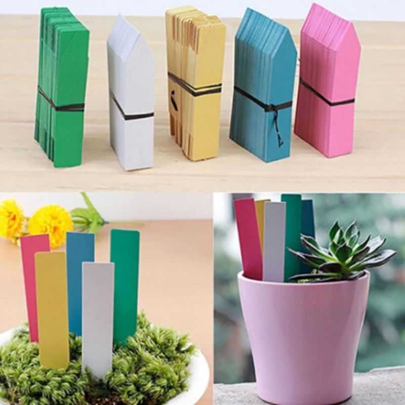 

100PCS Reusable PVC Plants Hang Tag Labels Tree Fruits Seedling Garden Flower Pot Plastic Tags Sign Classification Gadgets