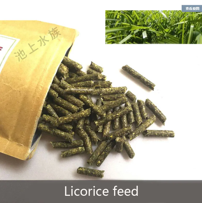 

Aquarium Licorice feed shrimp feed