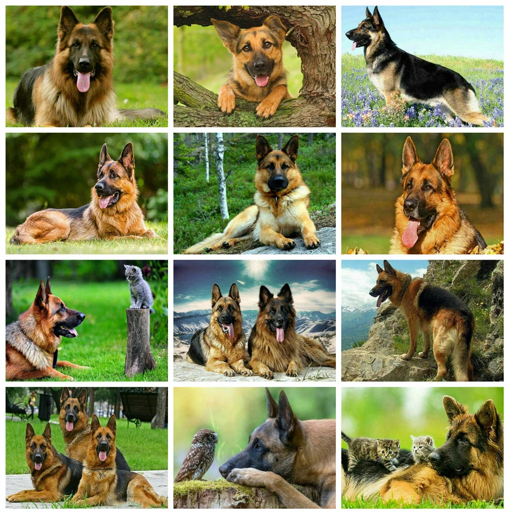 Huacan 5д алмазная мазайка собаки животные вышивка полная выкладка распродажа