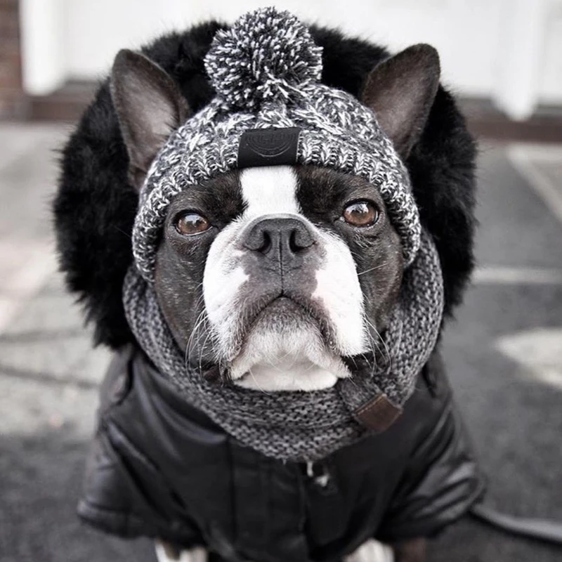 

Winter Warm Dog Hat for Small Medium French Bulldog Knitted Cap Windproof Puffy Ball Pet Headgear