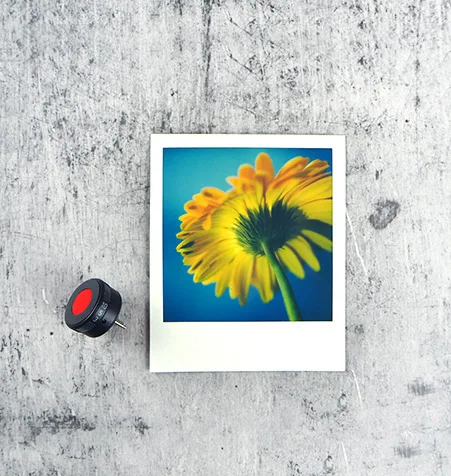 Автоматический таймер MiNT Self(ie) SX-70 затвора для SX70-Original/Alpha1/Model2/Sonar/SLR690/SLR680 |