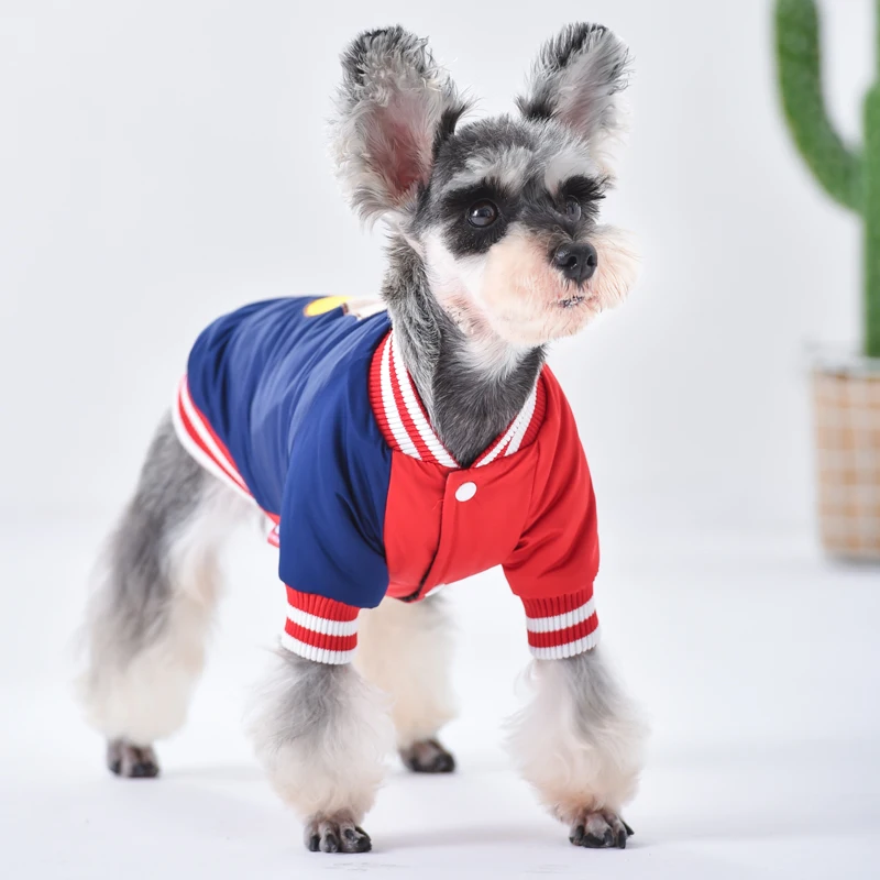 Ошейник в полоску наряд для собаки французского бульдога зимнее теплое домашнее