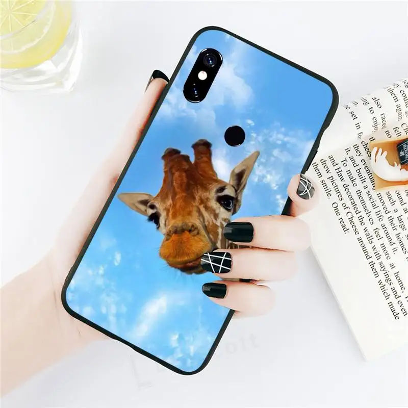 

Zebra Giraffe cute animal Phone Case For Xiaomi Redmi note 7 8 9 t k30 max3 9 s 10 pro lite