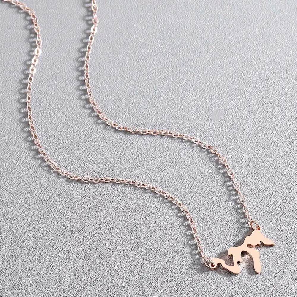 Тоторова великое озеро Мичиган Культовая подвеска озёр дома кулон ожерелье Illinois