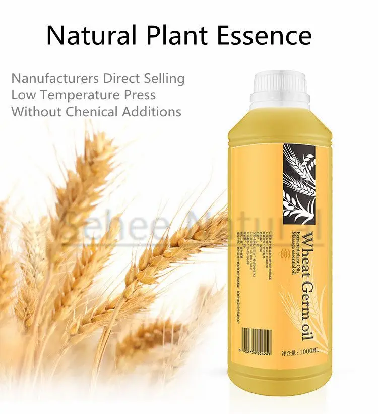 Body Massage Open Back Oil 1000ml Wheat germ Plant Base Oil Beauty Salon Massage Essential Oil