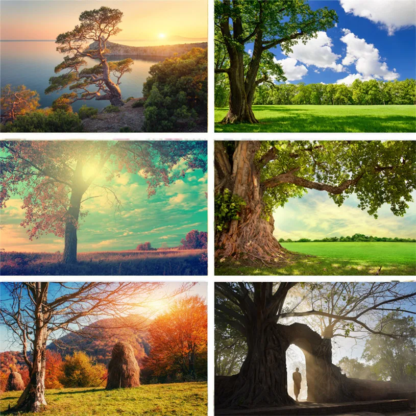 Фотостудия фотография Фон природный пейзаж лес закат HD узор Виниловый фон ткань