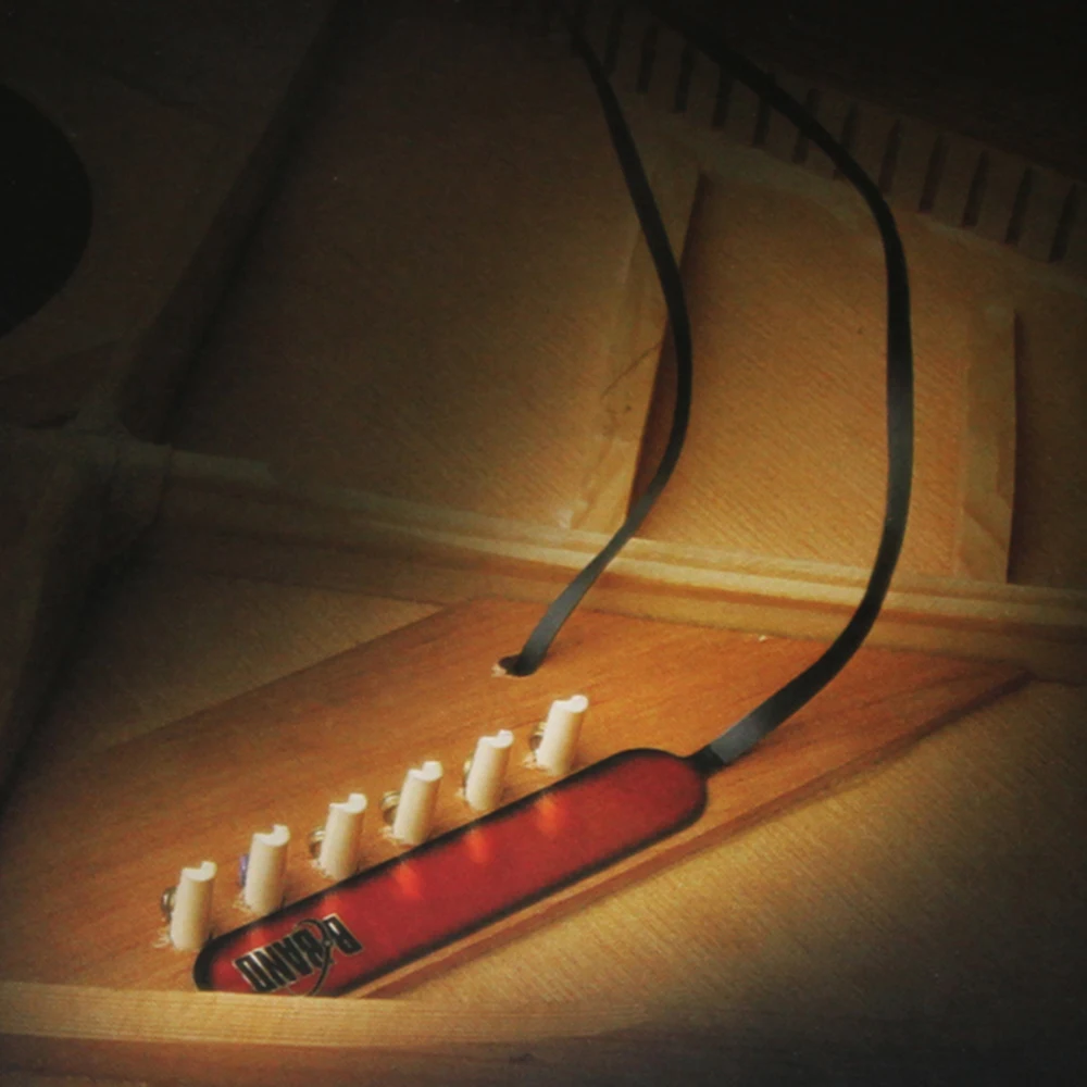 Оригинальная Акустическая гитара пикапа A2.2 с двойным звуком Endpin|Детали и