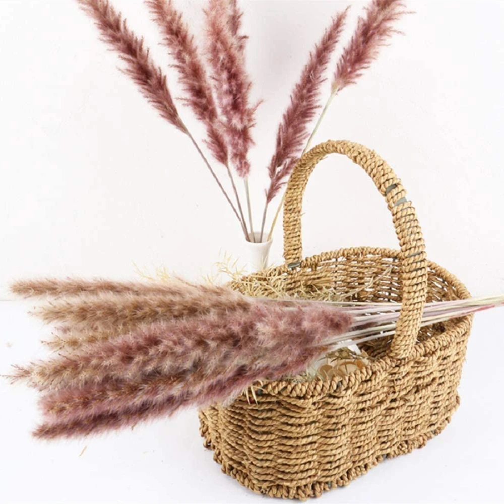 Декоративная маленькая трость 15 шт. Натуральные Сушеные маленькие пампасы трава