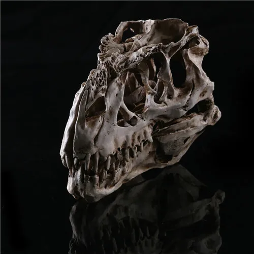

1 шт. тираннозавр рекс череп динозавра ремесла смолы ископаемого моделирование модель черепа для Коллекционные вещи светильник Цвет 15*11,5*8 с...