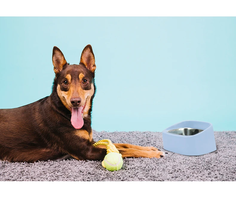 

Pet Bowl Dog Bowl Anti-Slip Small/Medium-Sized Dog Tilt Bowl for Neck Protection Diagonal Plate Dog Feed Dish Stainless Steel