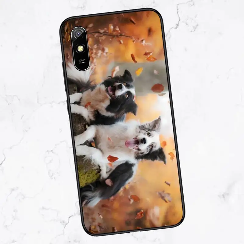 

Border Collie Dog Breed Phone Case For Xiaomi Redmi 4x 5 plus 6A 7 7A 8 mi8 8lite 9 note 4 5 7 8 pro