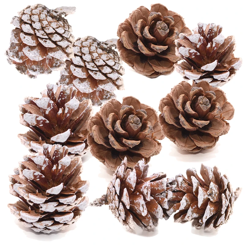 

PineCones 3 to 4cm Natural Pine Cones for Christmas Tree Decor Fall Thanksgiving Xmas Ornament Decoration In Bulk Nut 10/20 Pack