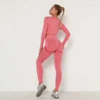 gym running seamless 2 piece yoga suit crescent elastic long sleeved nine point pants fast dry workout clothes for women