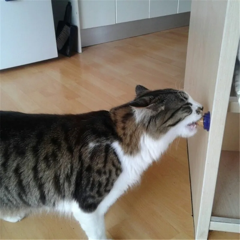 1 шт. кошачья мята сахар твердая длинная сильная таблетка энергетический шар