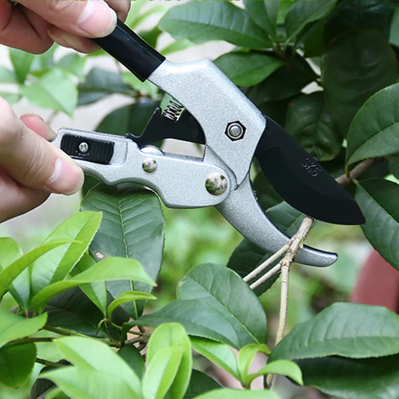 Grafting Tool Fruit Tree Pruning Shears Bonsai Pruners Garden SK5 High-carbon steel blade Ergonomic design Anti-Slip Grip | Инструменты