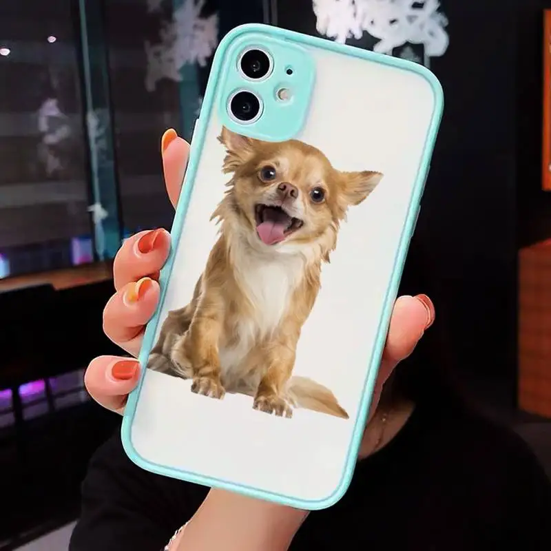 

Cute animal Chihuahua Dog Phone Cases matte transparent For iphone 7 8 11 12 plus mini x xs xr pro max cover