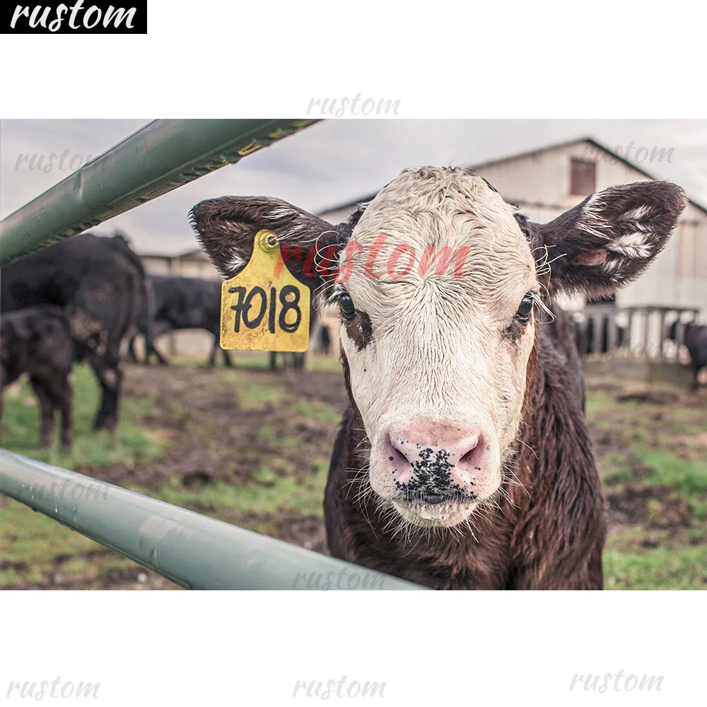 

diomand painting Pasture Cow Animal diomand Art For Living Room home Decoration Cuadros No Frame diomand embroidery