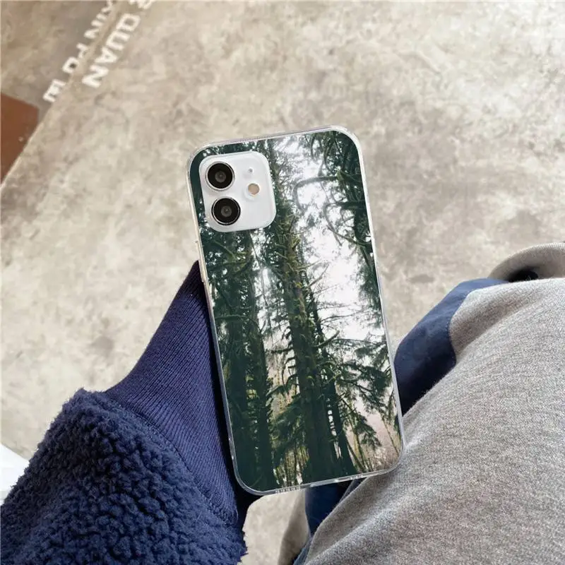 

Forest & Tree Wallpaper Phone Case For iphone 5s 6 7 8 11 12 plus xsmax xr pro mini se Transparent Cover Fundas Coque