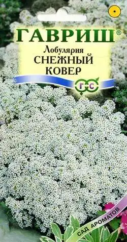 Лобулярия Снежный ковер морская 0 2гр/10 (цена за один пакет) | Дом и сад