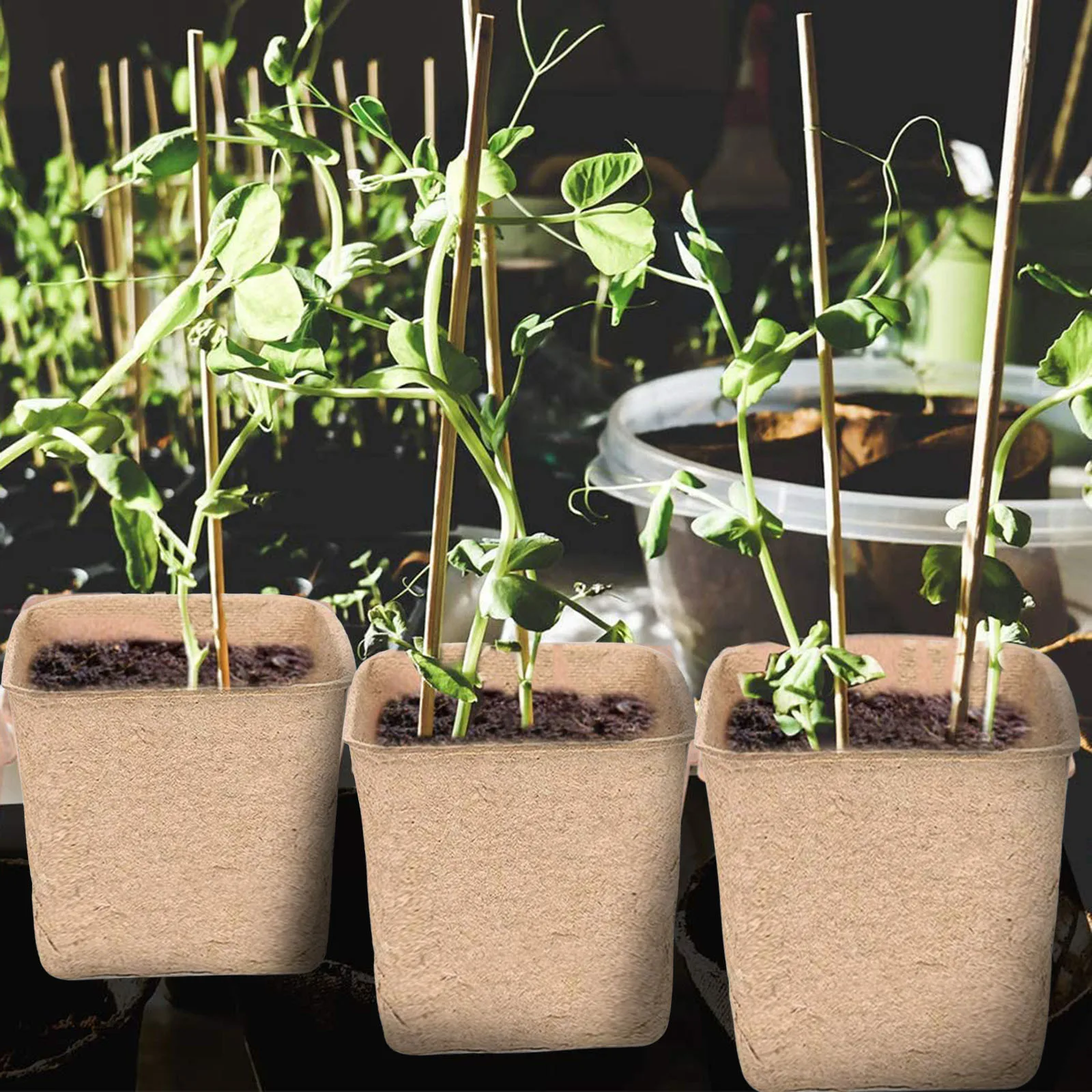 

Eco-Friendly Planting Pots Seed Starter Peat Gardening Seedling Cup Environmental Pulp Molded Flower Pot Garden square peat pots