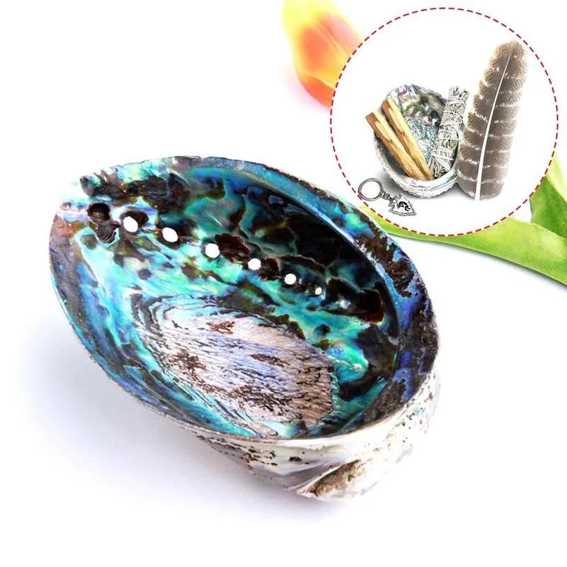 1pc 9-12cm Natural Bright Shiny Abalone Shell Nautical Blue Decor Seashells Fish Tank Aquarium Decoration Shells | Дом и сад