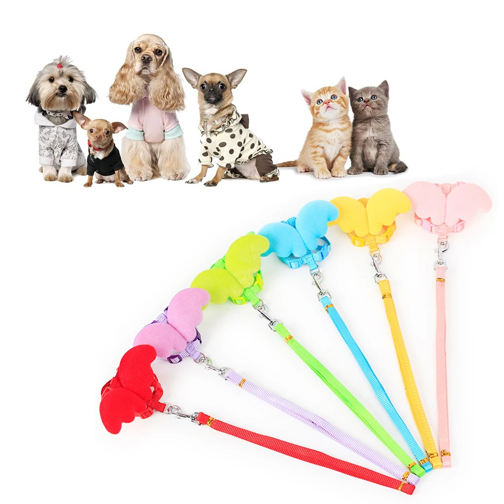 Поводок и поводок для маленьких собак кошек | Дом сад