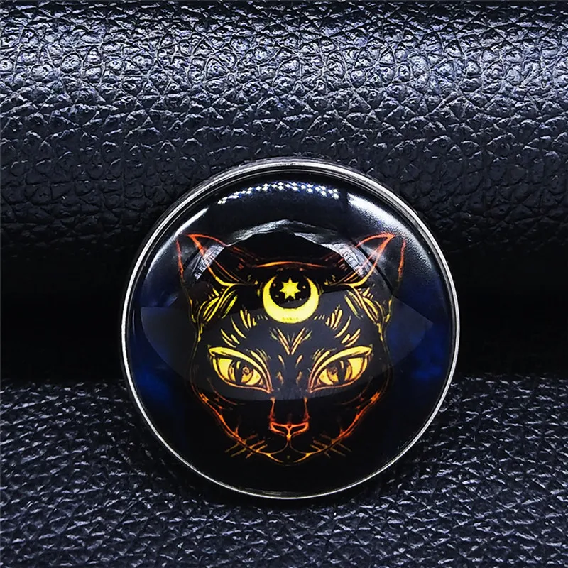 

Witchcraft Moon Cat Stainless Steel Glass Brooches for Women/Men Silver Color Brooch Jewelry regalos para mujer X34S05