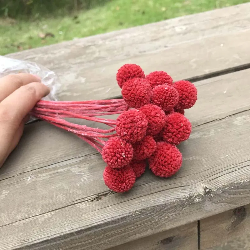 Red 7Pieces 1,5-2 см голова, длина 20 см Декоративные консервированные цветы шар, Натуральный Свежий Eternell Craspedia букеты, навсегда золотые шары цветок - Цвет: Red 7Pieces