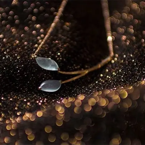 

Дизайнерское оригинальное новое ожерелье с подвеской в виде глаз из натурального льда модная атмосфера роскошные элегантные женские сереб...